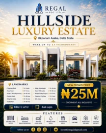 hill side luxury estate
